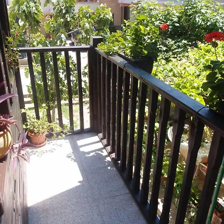 Holiday home Vyara Holiday *